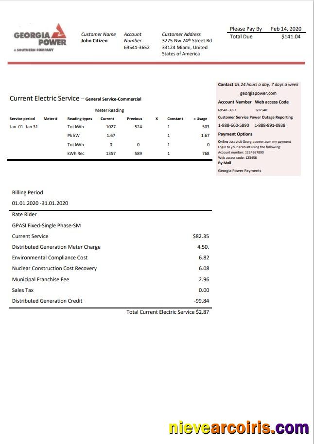 USA Georgia Power utility bill